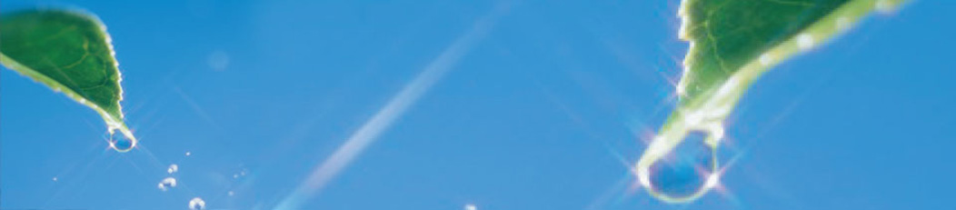 Glücklichsein mit Ethik