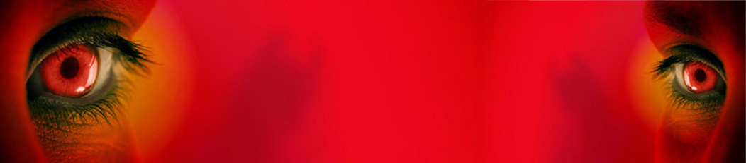 Neid, Eifersucht, Geltungssucht, Arbeitssucht</br>und wie sie unser ‘Selbst’ vergiften